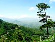 Mang Yang - Vẻ đẹp hùng vĩ của cung đường đèo Tây Nguyên 
